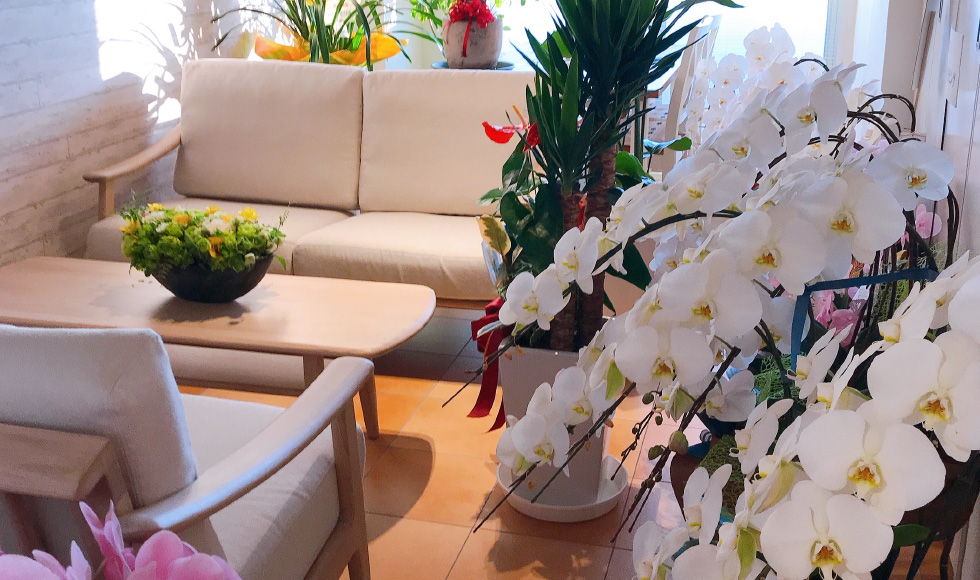 エスポルト不動産